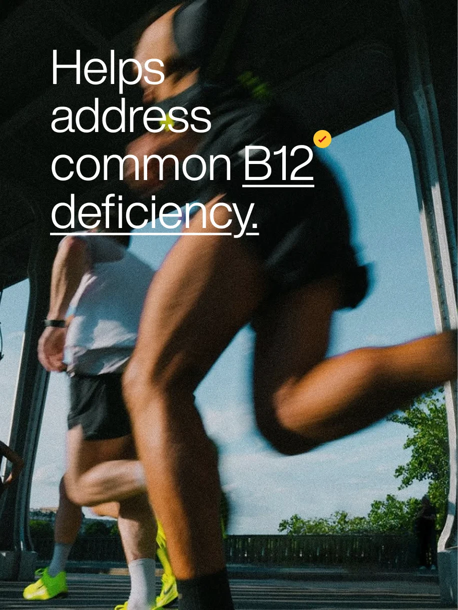 Active B-Complex